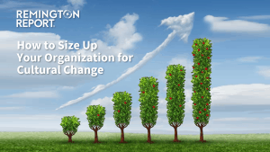 How to Size Up Your Organization for Cultural Change